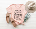 ABC Elemeno Teacher Shirt: Elementary Alphabet Tee