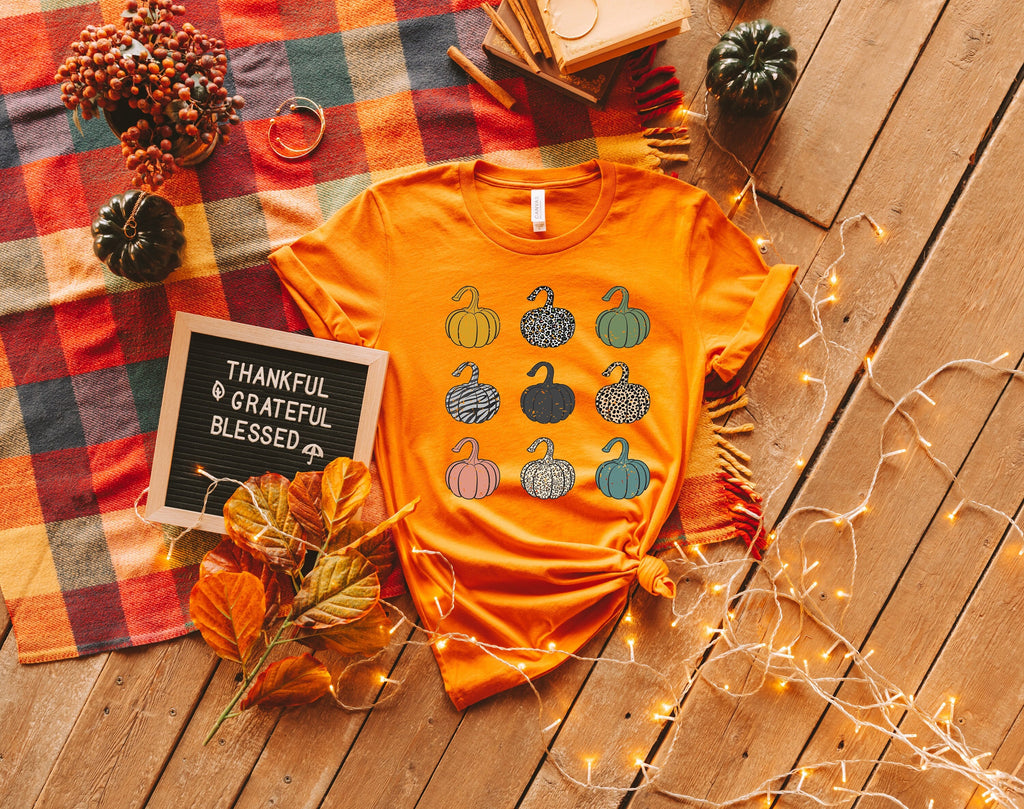 Colorful Pumpkins Thanksgiving Shirt: Autumn T-Shirt or Sweatshirt