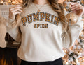 Retro Pumpkin Spice Shirt: Fall Colors, Thanksgiving Gift