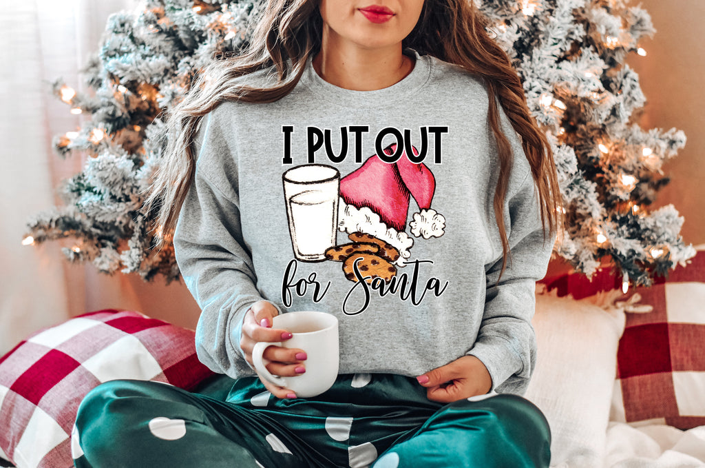 Funny Christmas Shirt: I Put Out For Santa, Holiday Tee